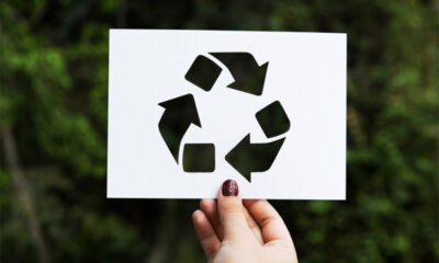 recykling drewna poużytkowego