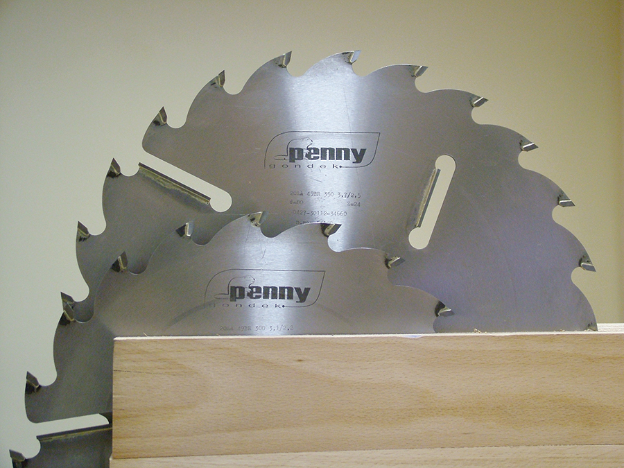 Penny Gondek