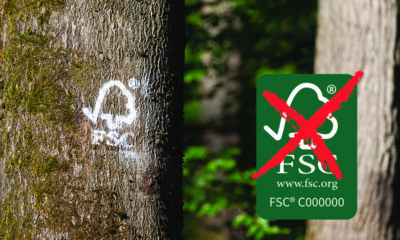 Nie będzie certyfikacji FSC w Dyrekcji Generalnej Lasów Państwowych?