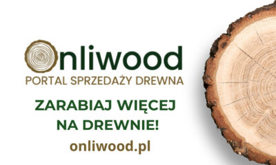 onliwood_pl