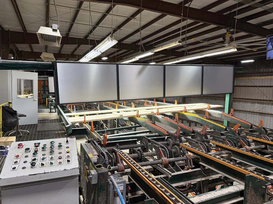 Neural Grader przenosi klasyfikację drewna  na nowy poziom