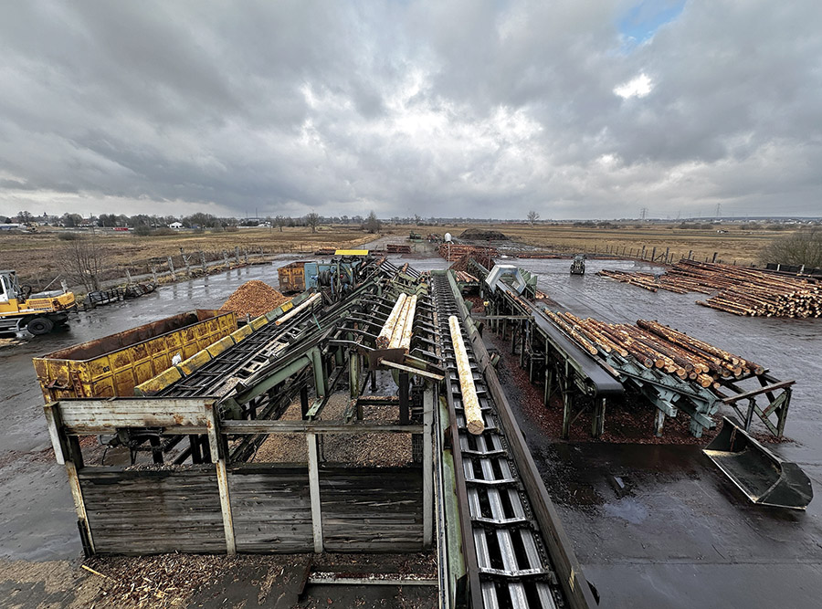 Drewno okrągłe podawane jest na linię, na której następuje skanowanie oraz korowanie surowca.   Fot. Kurier Drzewny