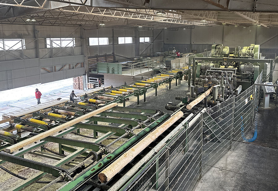 Część linii EWD na hali przetarcia surowca. Fot. Kurier Drzewny