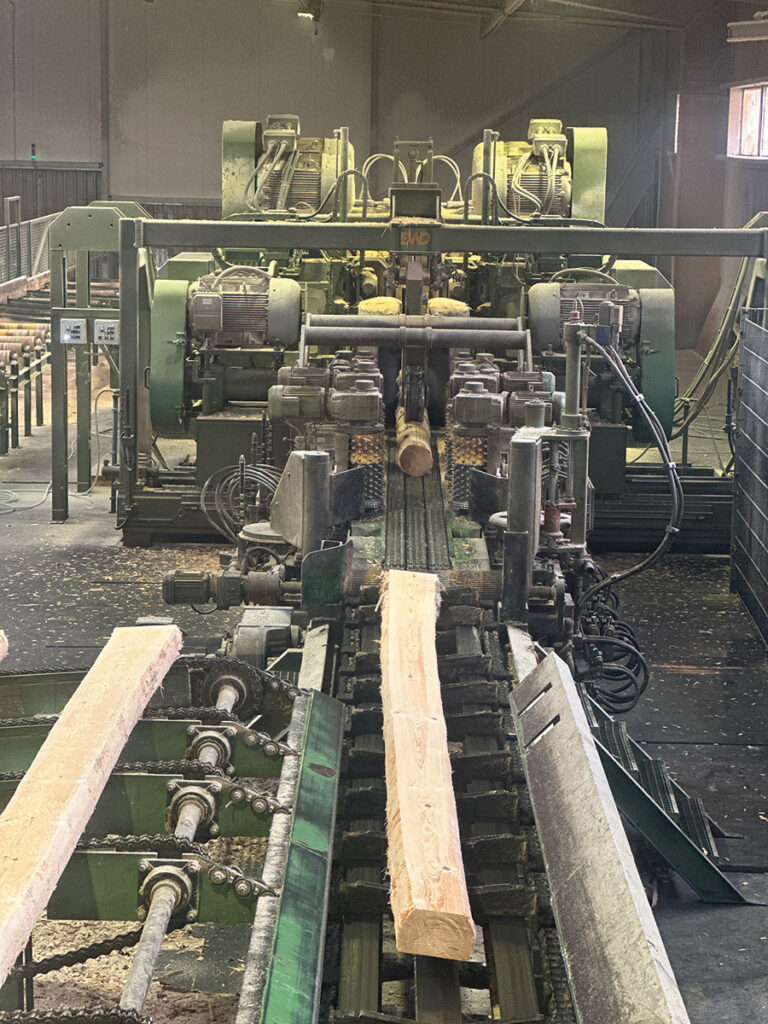 Część linii EWD na hali przetarcia surowca.                                                                                                                                                                                                                                                                             Fot. Kurier Drzewny